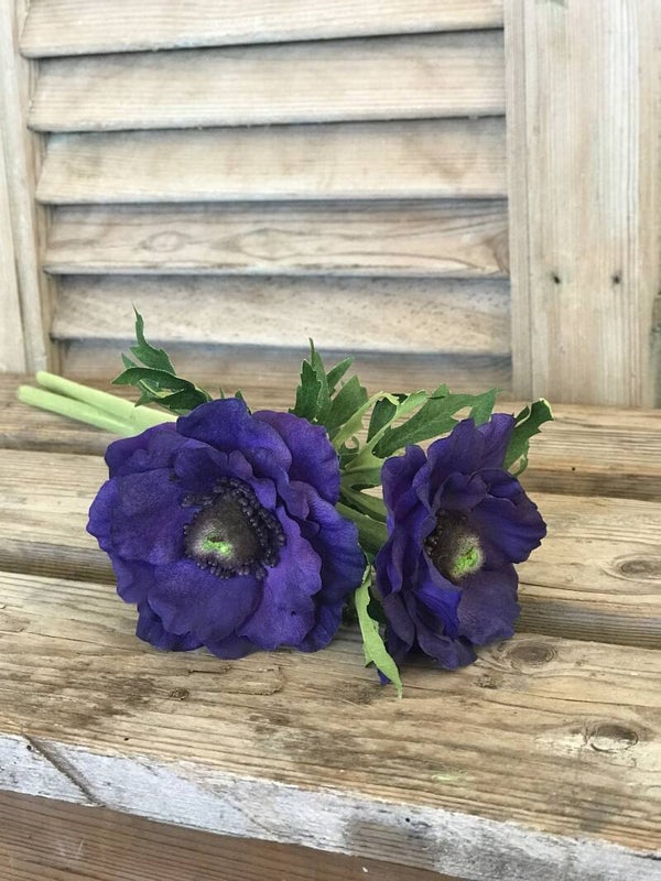 Anemoon donker paars