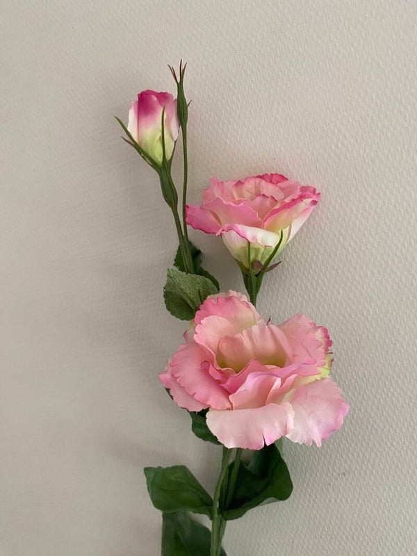 Lisianthus
