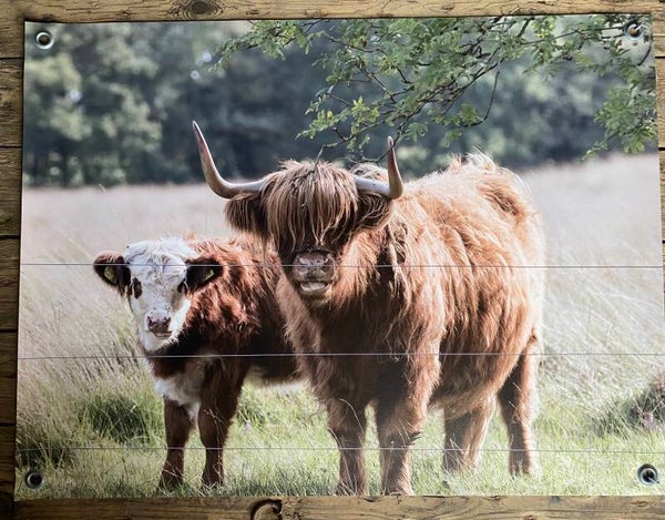 Twee tuinposters 80 bij 60 cm naar keuze