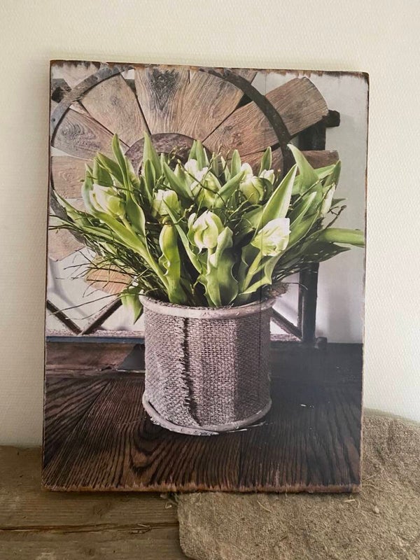 Oudlook bord met tulpen