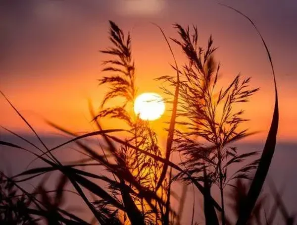 Tuinposter  zonsondergang nr 49