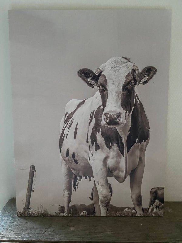 Houten paneel koe zonder ophangkoord