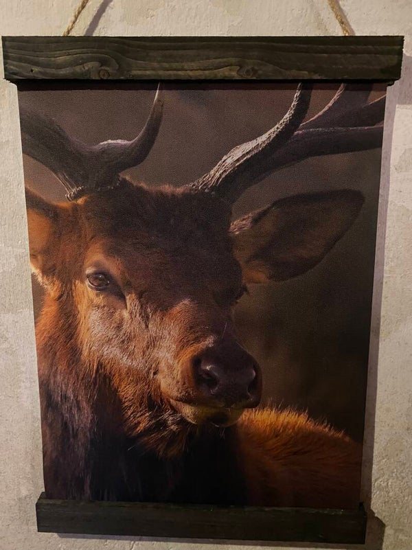 Kleine wanddoek hertenhoofd