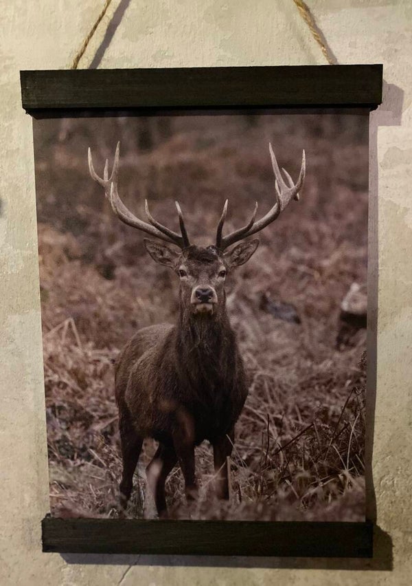 Kleine wanddoek hert in de natuur