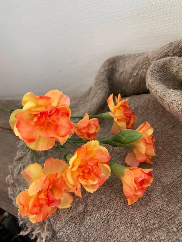 Anjer oranje