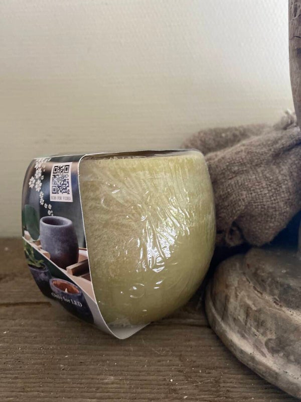 Groen aroma bowl, jasmijn