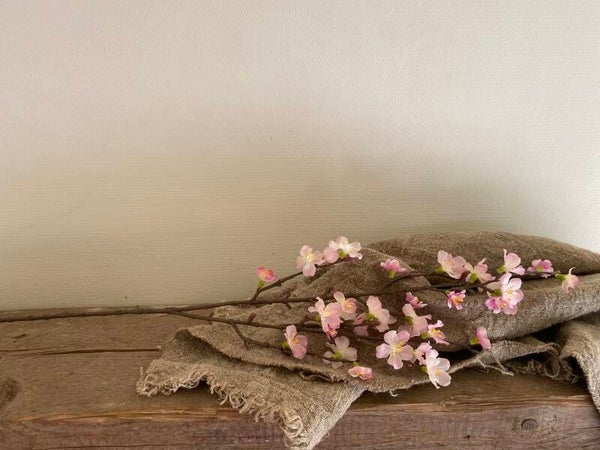 Sakura bloesemtak