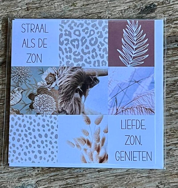 Liefde Zon Genieten kleur
