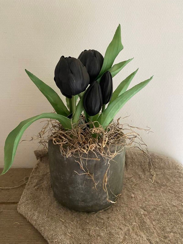 Vijf tulpen in een bloempotje, zwart
