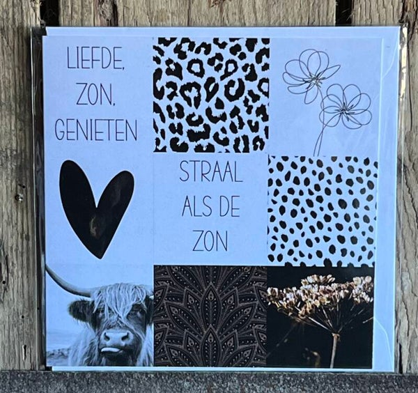 Liefde Zon Genieten donker