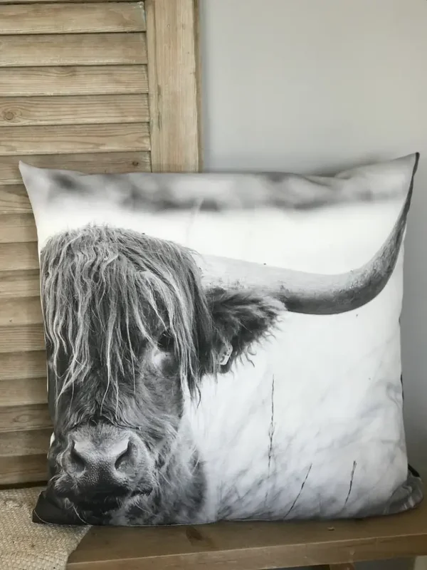 Twee buitenkussen 50 bij 50 cm