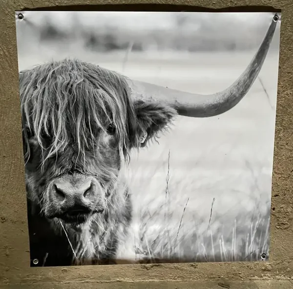 Twee tuinposters 100  bij 100 cm naar keuze