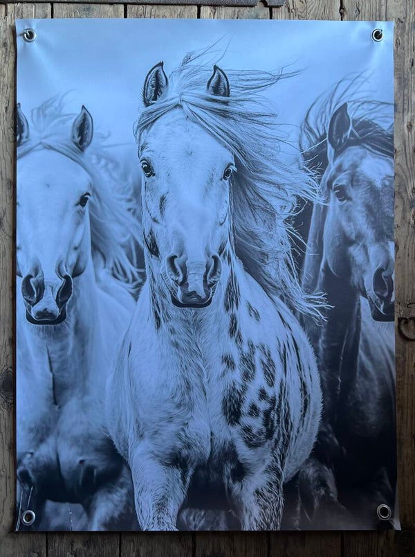 Tuinposter paarden nr4