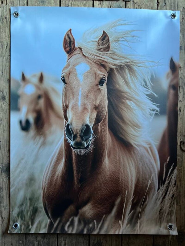 Tuinposter paarden nr2