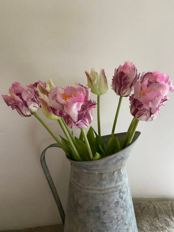 Paarse papagaai tulpen