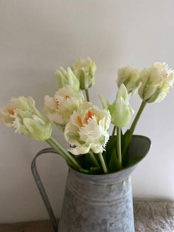 Witte papagaai tulpen