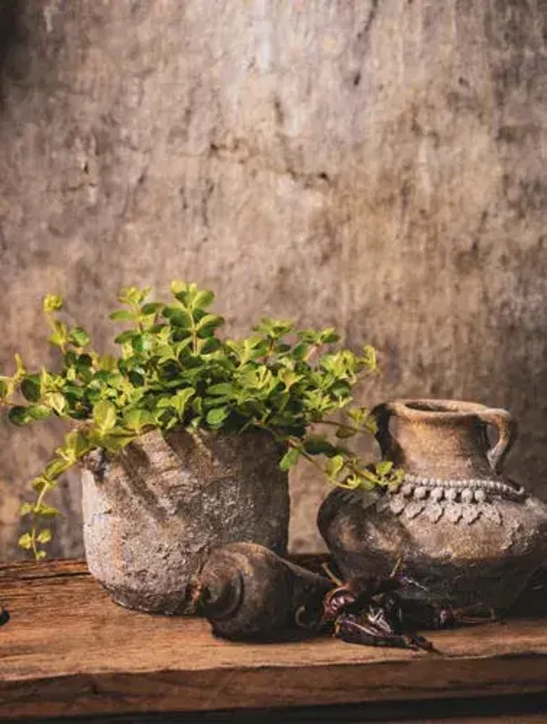 Tuinposter Nr 468