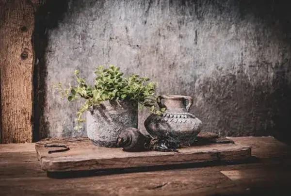 Tuinposter nr 155