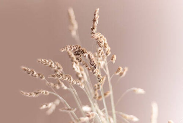 Tuinposter nr 181