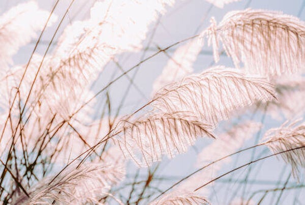 Tuinposter nr 206