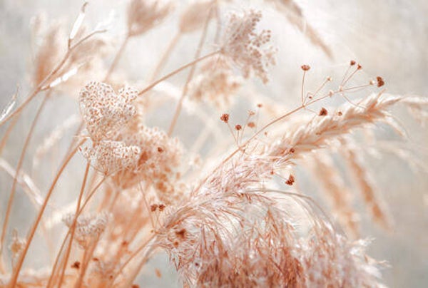 Tuinposter nr 207
