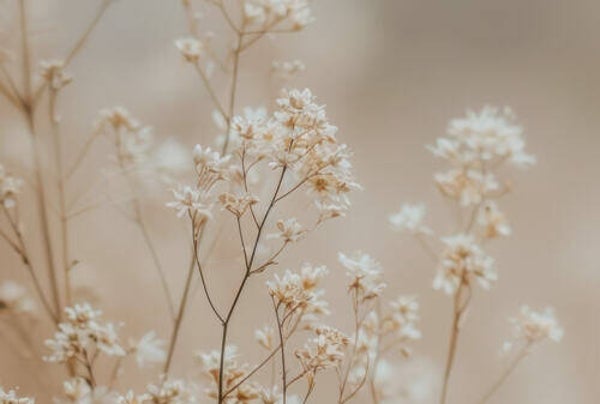 Tuinposter nr 217