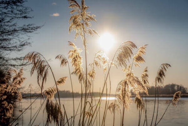 Tuinposter nr 232