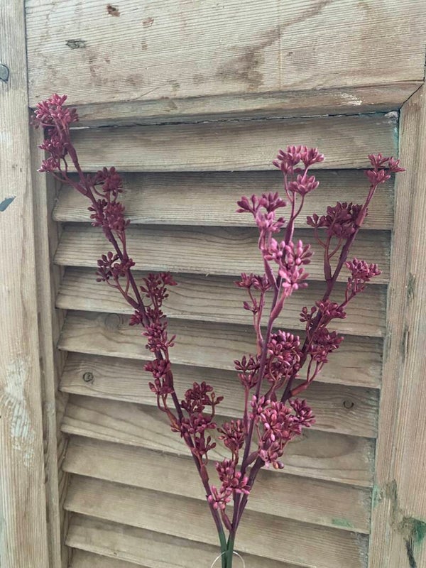 Prunus donker pink