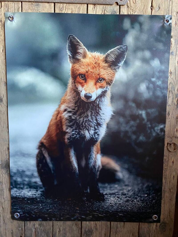 Tuinposter vos