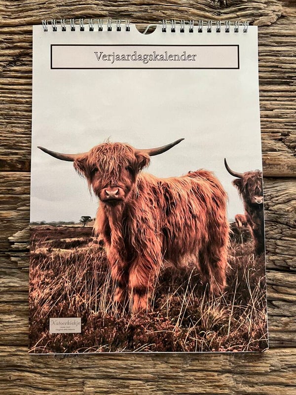 Verjaardagskalender Schotse hooglanders in kleur