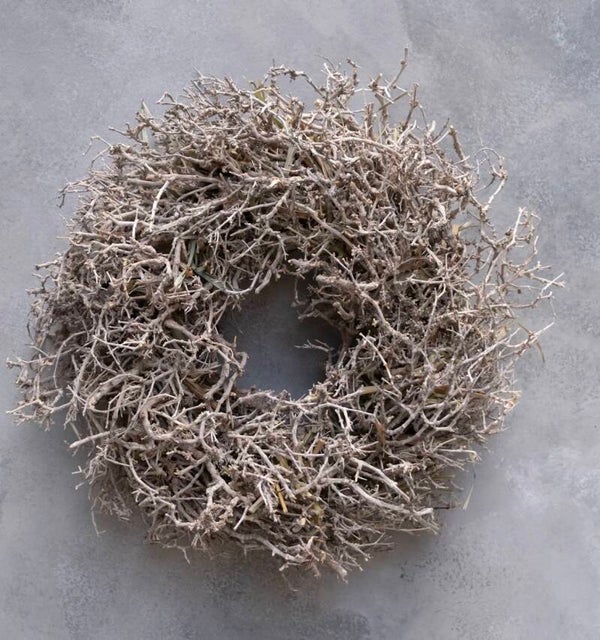 Desert bush wearth