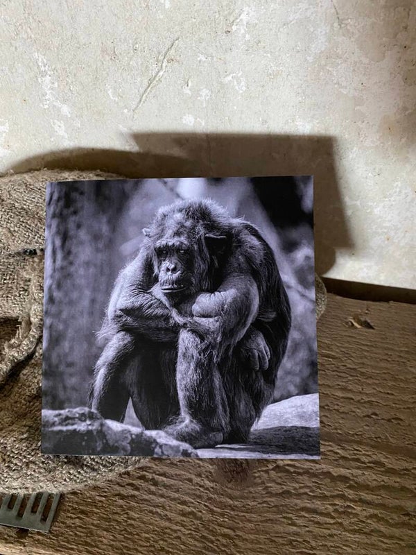 Vierkante wenskaart nr 3