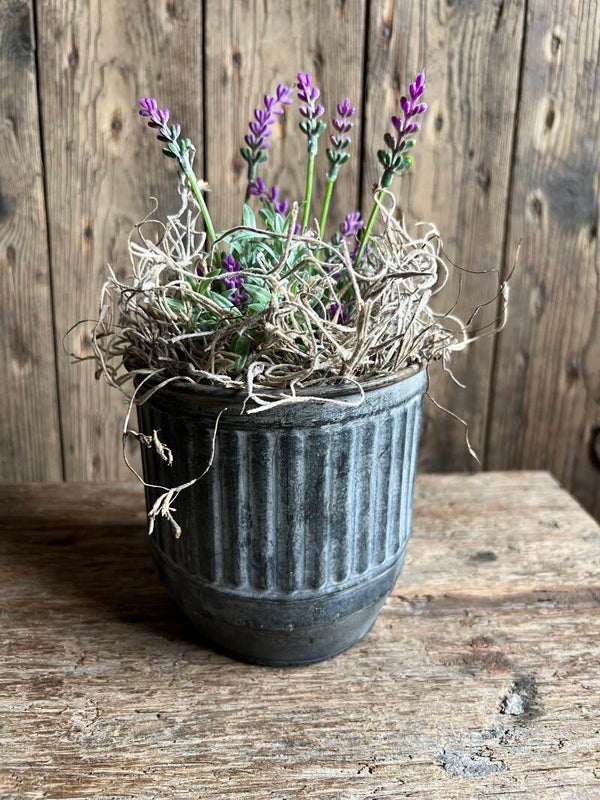 Zinken ribbelpot klein
