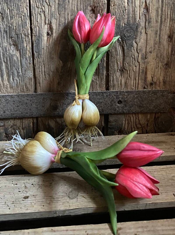 Twee donker roze mini tulpjes met bloembollen