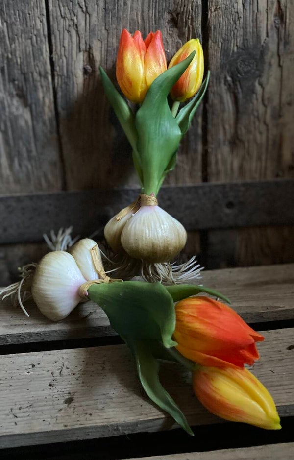 Twee oranje/geel mini tulpjes met bloembollen