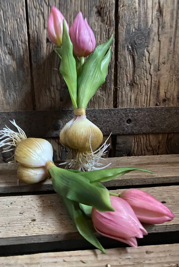 Twee Mauve mini tulpjes met bloembollen