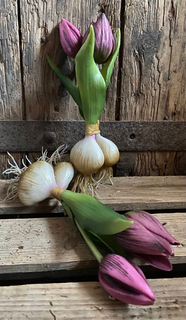 Twee paarse mini tulpjes met bloembollen