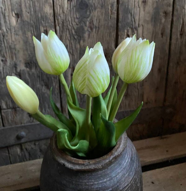 Esmee tulpjes, wit