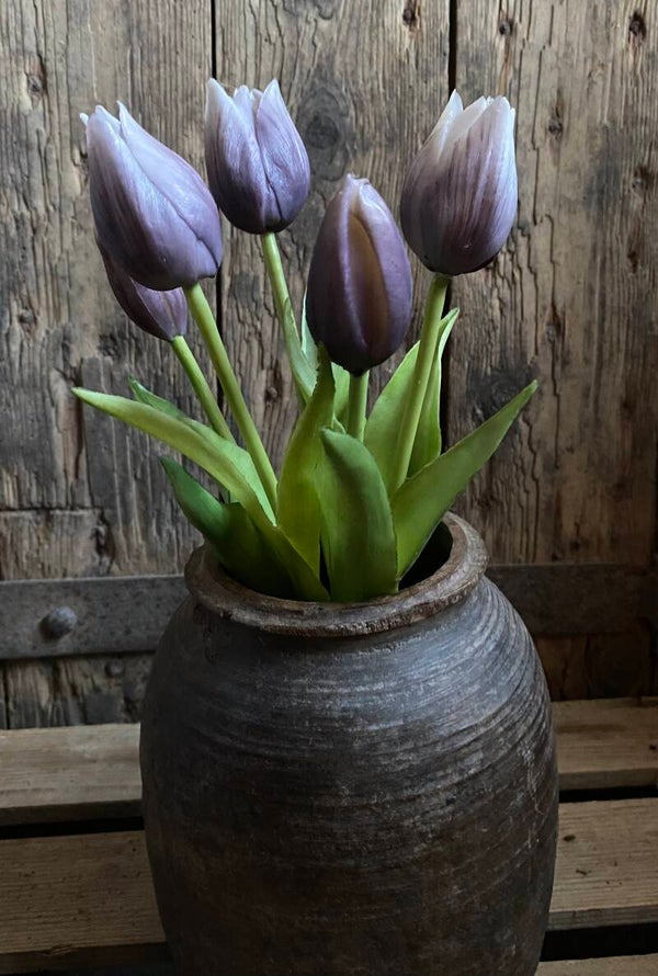 Esmee tulpjes, purple grey