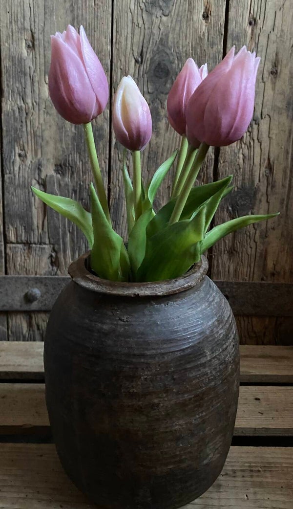 Esmee tulpjes, Mauve