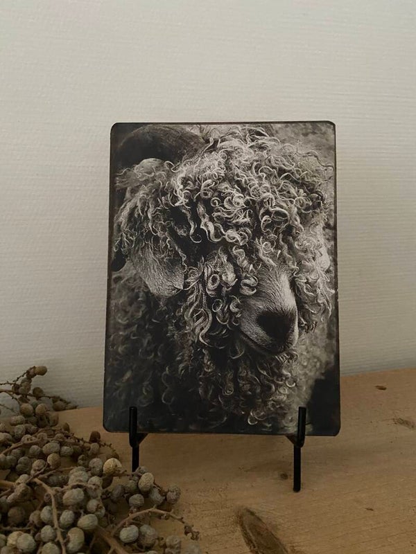 Zwarte metalen standaard