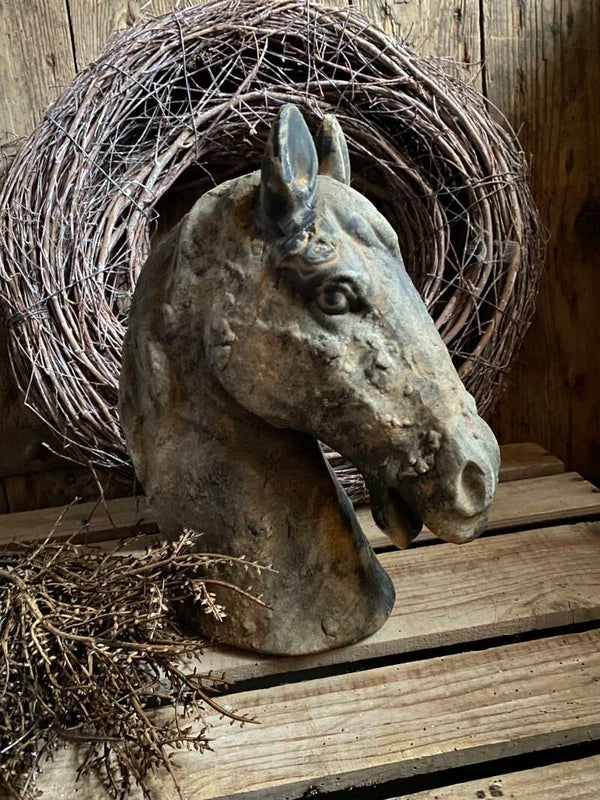 Paardenhoofd maat L