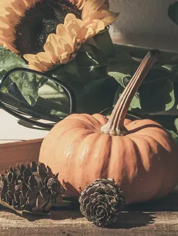 Tuinposter kalebas en zonnebloem