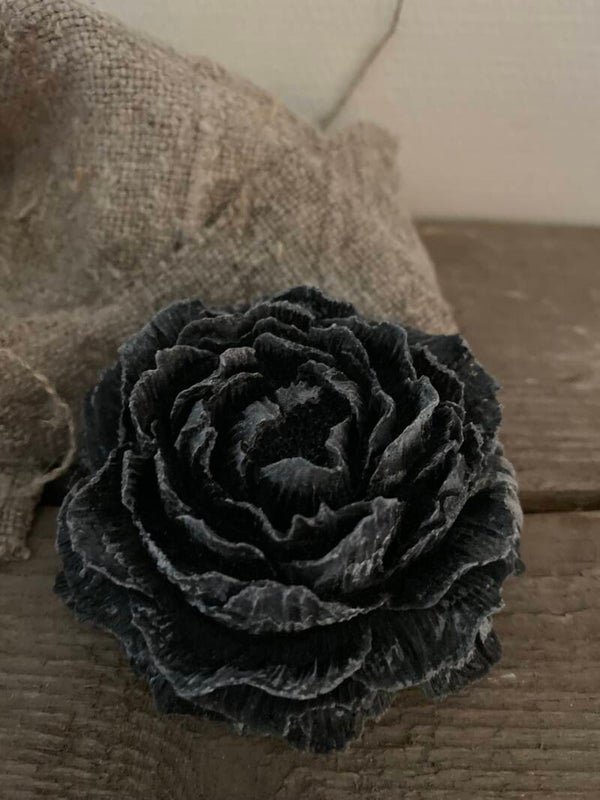 Donker grijze roos, Amber grey