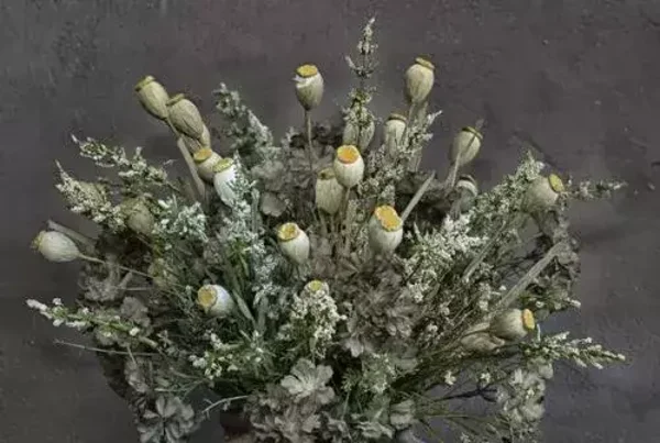Tuinposter droogboeket