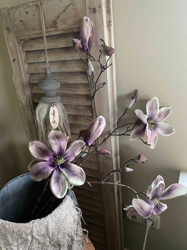 Magnolia Indy