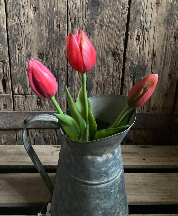 Tulpjes Sarah roze