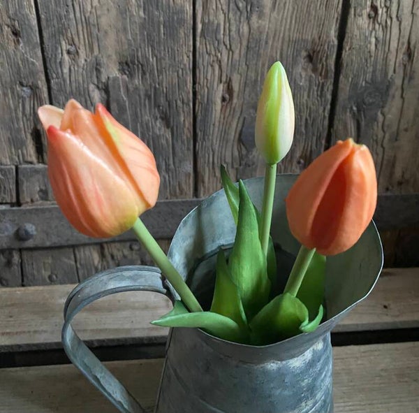 Tulpjes Sarah zalm/oranje