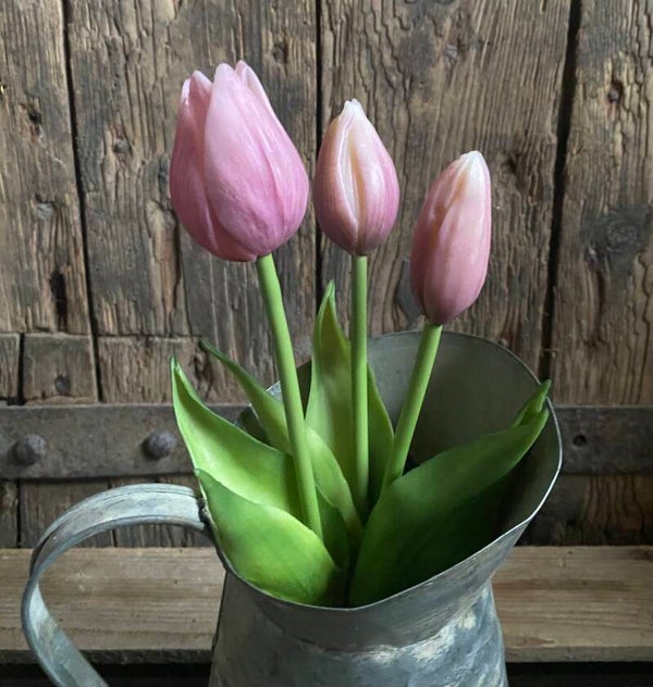 Tulpjes Sarah Mauve