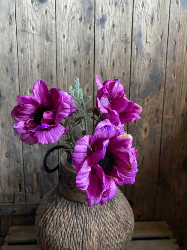 Anemoon roze